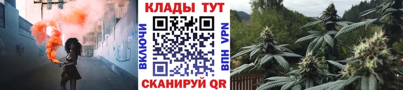 Псилоцибиновые грибы Бор
