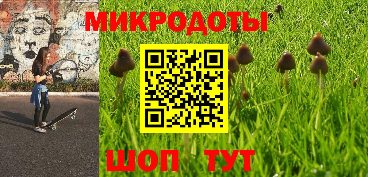 Галлюциногенные грибы прущие грибы Бор