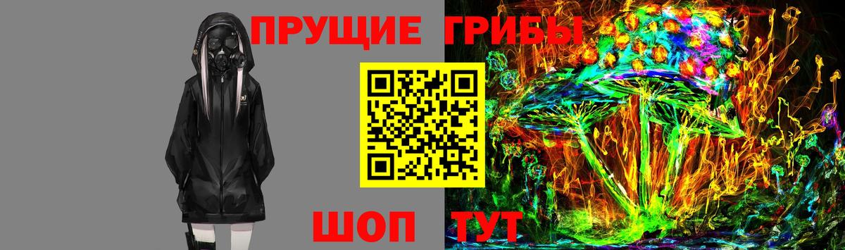 Псилоцибиновые грибы Cubensis  Вход с VPN  Бор 